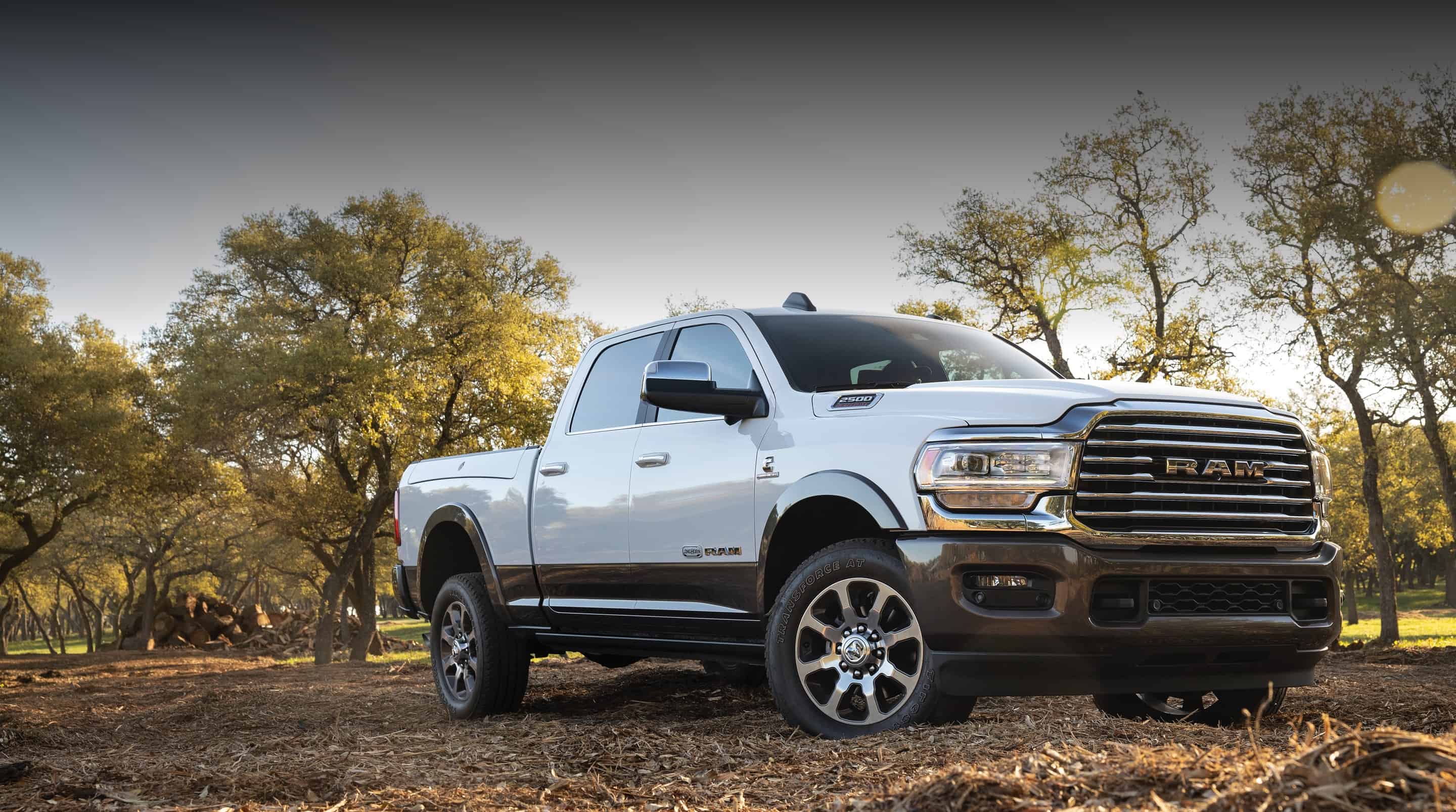 2020 Ram Trucks 2500 Exterior Features