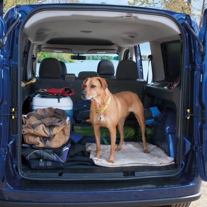 2020 ram promaster city wagon
