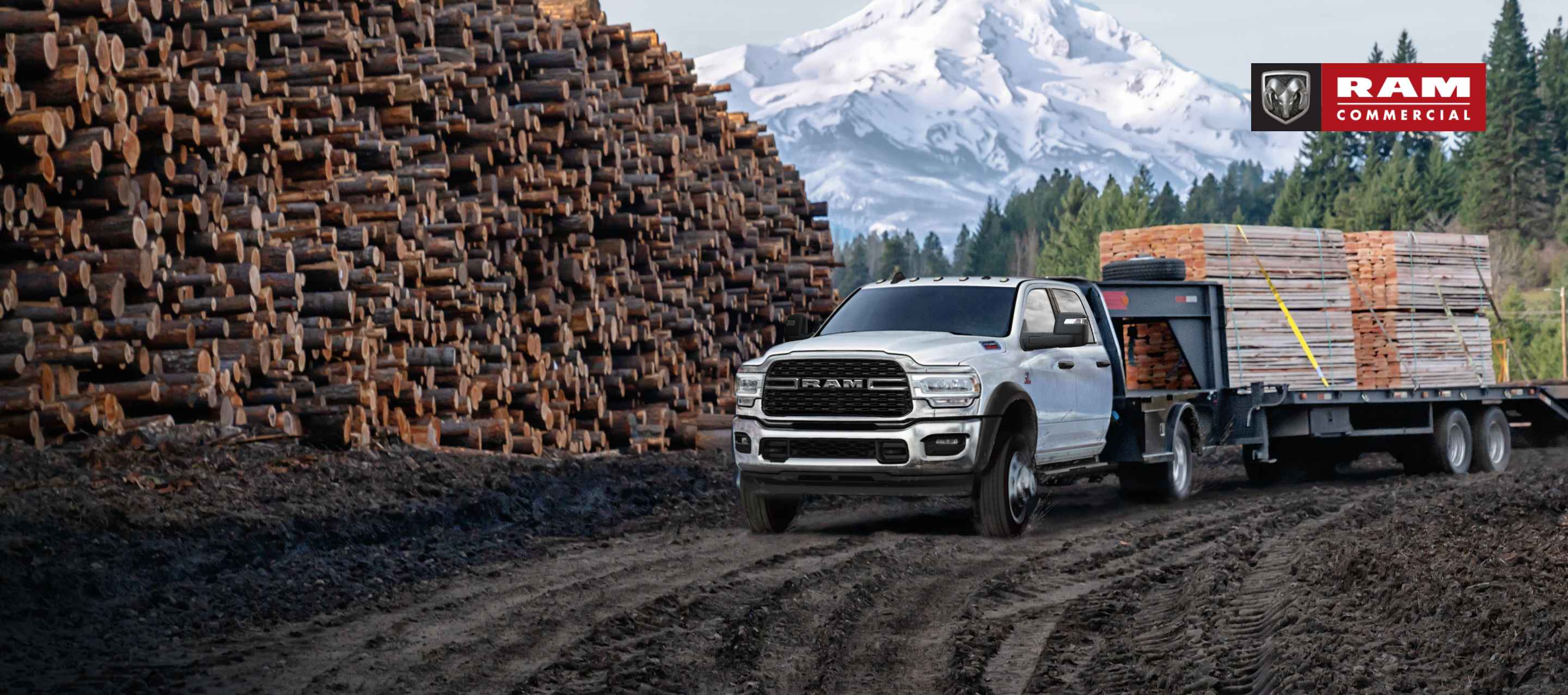 A white 2024 Ram 5500 SLT Chassis Cab Crew Cab with a gooseneck trailer filled with lumber, parked beside a forest and huge mound of cut logs, with a snow-capped mountain in the background. Ram Commercial.