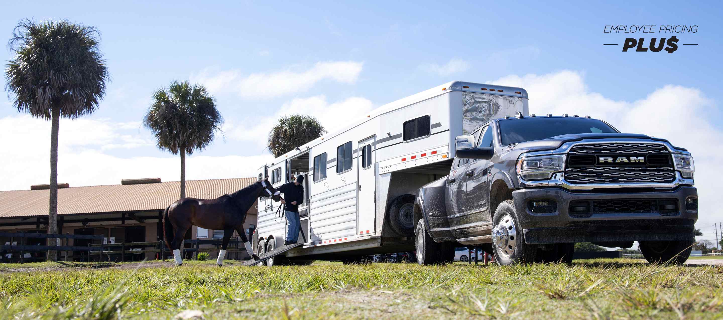 A 2024 Ram 3500 Limited Crew Cab towing a fifth wheel horse trailer with a man leading a horse into the trailer. Employee Pricing Plus Sales Event.