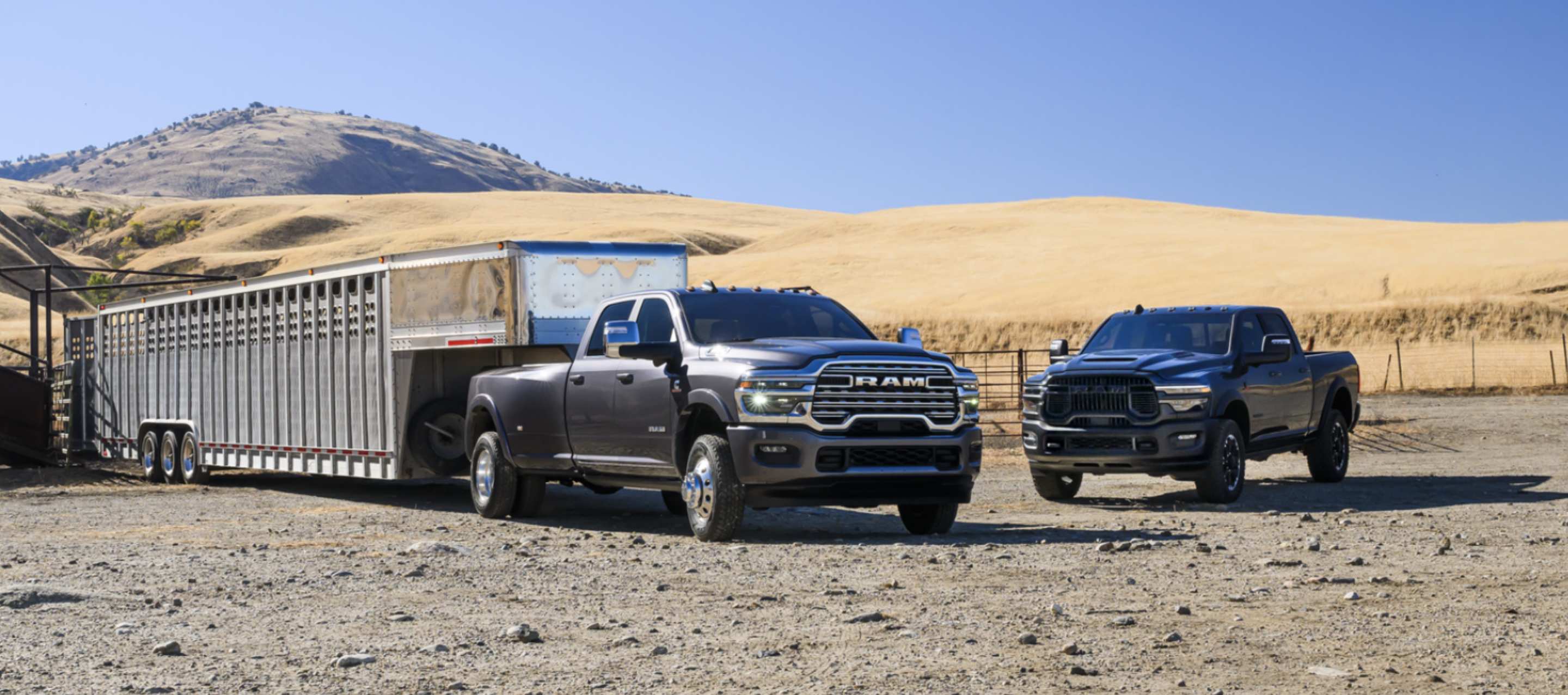 A 2025 Ram 3500 Limited Longhorn 4x4 Crew Cab towing a large fifth-wheel livestock trailer and a black Ram 2500 Rebel 4x4 Crew Cab parked near each other.